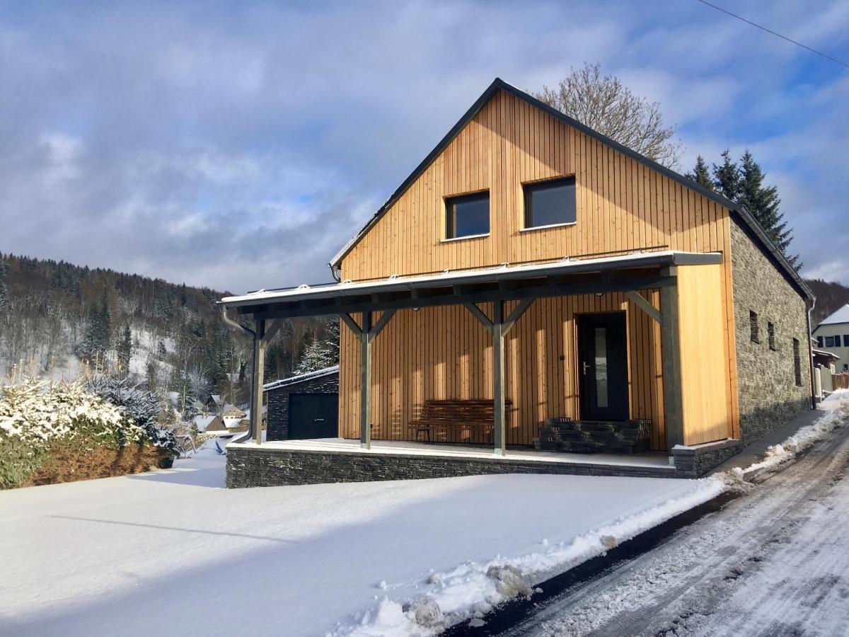 Chata Pod Vlekem Villa Český Jiřetín Kültér fotó